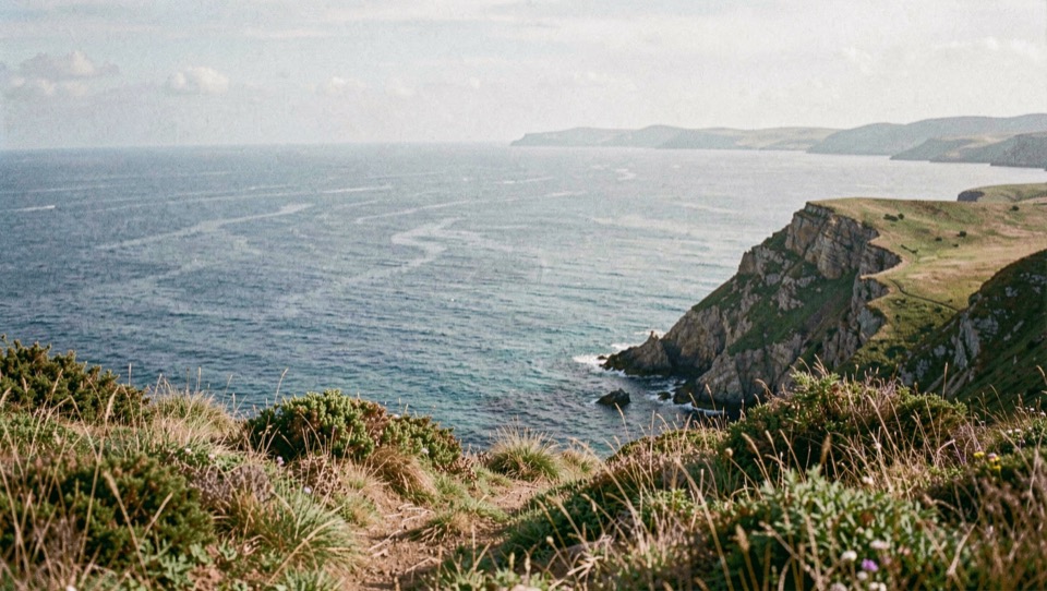 Baie vue en plongée depuis une colline, la mer d'un bleu profond occupe la moitié du cadre et une promenade bordée de palmiers longe le rivage